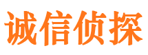 禅城外遇调查取证